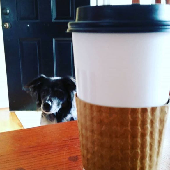 coffee cup on table with cute dog sitting nearby representing Get Resume Help Instagram